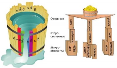 Бочка. Элементы питания растений.jpg