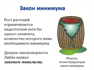 Бочка. Закон минимума.jpg