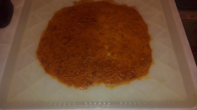 IMG_20250818_114601.jpg