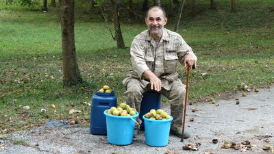 2014.10.01 - DSC00853 - орехи под Криницей.JPG