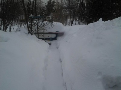 2018-02-20 13.54.08 дорожка в сторону ванны 149Кб.jpg