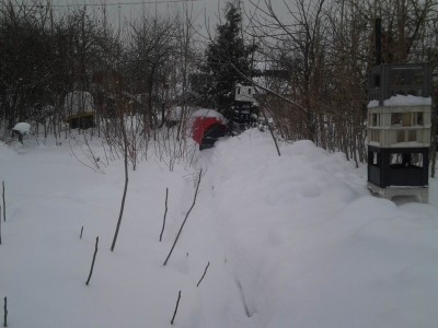 2018-02-20 13.54.25 дорожка в сторону шинобашни 222Кб.jpg