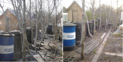 2018-05-15 11.05 - сравнение ряда орехов.JPG